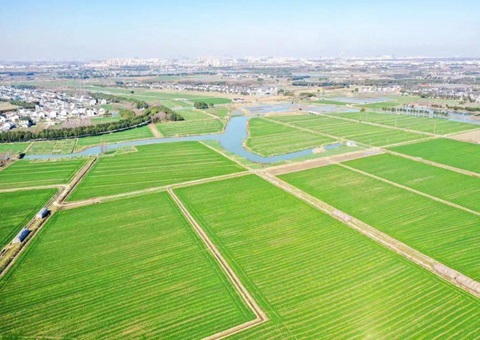 江苏省全域地皮综合整治国度试点项目进度超70%