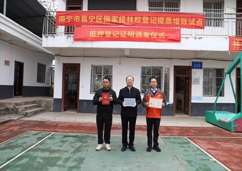 南宁宣告广西首份国度级林权登记提质增效试点抵押登记证明