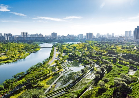 广西出台河山空间生态建复项目治理法子