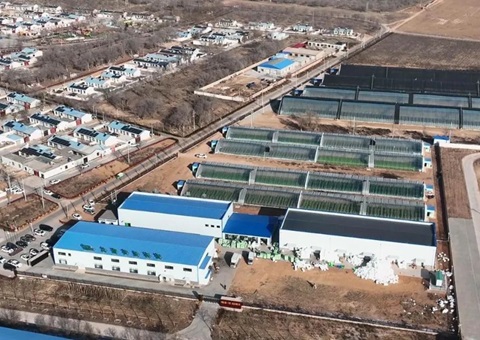 成交金额8416.32万元 &nbsp;&nbsp;宁夏索求出村落集体经营性建设用地入市新蹊径