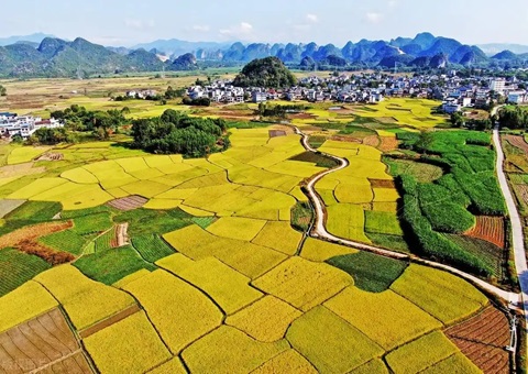强化“指挥棒”作用&nbsp;&nbsp;柳州市发放500万元耕地；ぁ凹だ彀