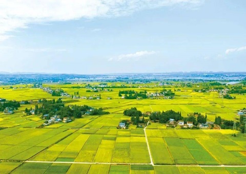 四川省眉山市局“三措并举”提升储蓄地皮治理效力 筑牢高质量发展地皮身分保险