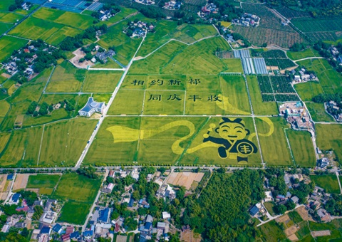 成都颁布耕地；す婊〗10年这样筑牢“天府粮仓”根基