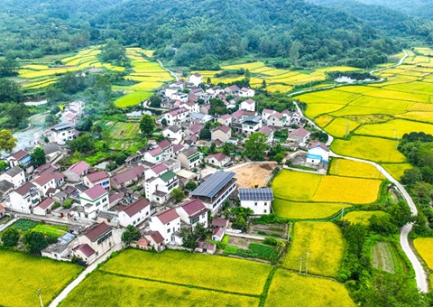 安徽省天然资源厅：130个乡镇耕地；こ删屯蛊 获赔偿激励1.3亿元