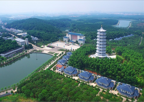 湖北：用好“一张图” ，智治有支持
