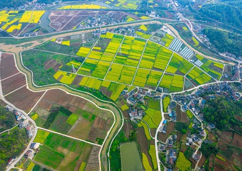 湖北省天然资源厅保险沉点农业产业链高质量发展