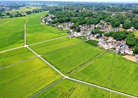 四川建成永远根基农田监测监管系统&nbsp;&nbsp;率先实现同国度级系统对接与跨部门数据共享