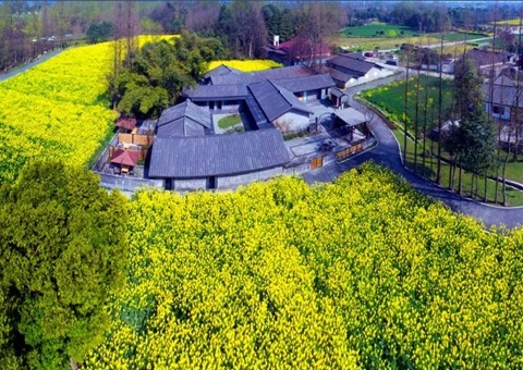 成都出台政策：城镇居民不得采办村落宅基地和住房