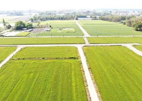 成都市郫都区局精准经营全域地皮综合整治先行棋
